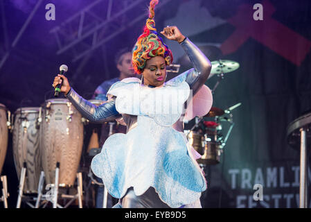 Sheffield, Regno Unito. Il 25 luglio 2015. Basement Jaxx eseguire live a Sheffield il Festival del tracciafile. Credito: Gary Mather/Alamy Live News Foto Stock