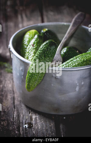 Preparazione di basso-sale di cetrioli sottaceto Foto Stock