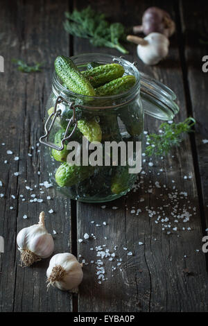 Preparazione di basso-sale di cetrioli sottaceto Foto Stock