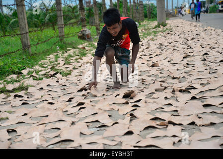 Dacca in Bangladesh. 26 Luglio, 2015. Un quotidiano del Bangladesh operaio si asciuga non trasformati in pelle di piccoli pezzi per un locale fabbrica di scarpe su un lato strada a Hajaribug a Dhaka, nel Bangladesh, il 23 marzo 2015. Credito: Mamunur Rashid/Alamy Live News Foto Stock