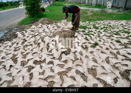 Dacca in Bangladesh. 26 Luglio, 2015. Giornaliera del Bangladesh operaio si asciuga non trasformati in pelle di piccoli pezzi per un locale fabbrica di scarpe su un lato strada a Hajaribug a Dhaka, nel Bangladesh, il 23 marzo 2015. Credito: Mamunur Rashid/Alamy Live News Foto Stock