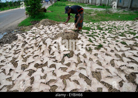 Dacca in Bangladesh. 26 Luglio, 2015. Giornaliera del Bangladesh operaio si asciuga non trasformati in pelle di piccoli pezzi per un locale fabbrica di scarpe su un lato strada a Hajaribug a Dhaka, nel Bangladesh, il 23 marzo 2015. Credito: Mamunur Rashid/Alamy Live News Foto Stock