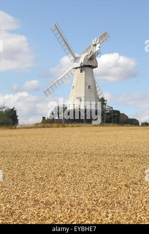 Il mulino a vento di Woodchurch al tempo del raccolto, vicino a Ashford, Kent, Regno Unito, GB Foto Stock
