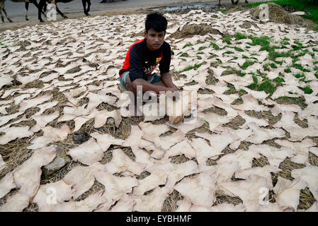 Dacca in Bangladesh. 26 Luglio, 2015. Un quotidiano del Bangladesh operaio si asciuga non trasformati in pelle di piccoli pezzi per un locale fabbrica di scarpe su un lato strada a Hajaribug a Dhaka, nel Bangladesh, il 23 marzo 2015. Credito: Mamunur Rashid/Alamy Live News Foto Stock