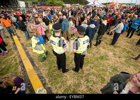 I frequentatori del festival presso il festival Wickerman a Dundrennan sulla luglio 25, 2015 a Dumfries, Scozia. Credito: Sam Kovak/Alamy Live News Foto Stock