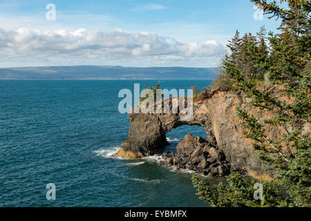 L'arco all'entrata di Halibut Cove, Kachemak Bay, Alaska Foto Stock