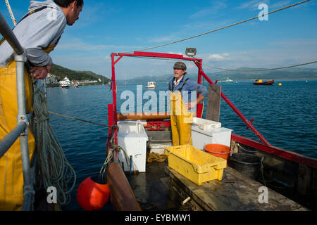 La pesca costiera su Cardigan Bay a Aberdyfi / Aberdovey: un pescatore di sbarco la sua cattura di aragosta e granseole , Wales UK Foto Stock