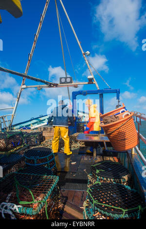 La pesca costiera di Cardigan Bay : pescatori al lavoro lo sbarco delle catture settimanali di aragosta e granchio al ponte di una piccola barca da pesca che lavora fuori di Aberystwyth Harbour, Ceredigion West Wales UK Foto Stock