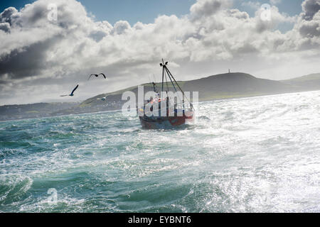 La pesca costiera di Cardigan Bay : una piccola aragosta e granchio barca da pesca che lavora fuori di Aberystwyth Harbour, Ceredigion West Wales UK Foto Stock