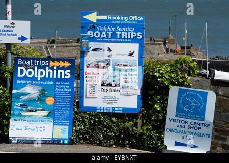 Insegne pubblicitarie a osservare i delfini gite in barca su Cardigan Bay su un pomeriggio d'Estate, New Quay, Ceredigion , Wales, Regno Unito Foto Stock