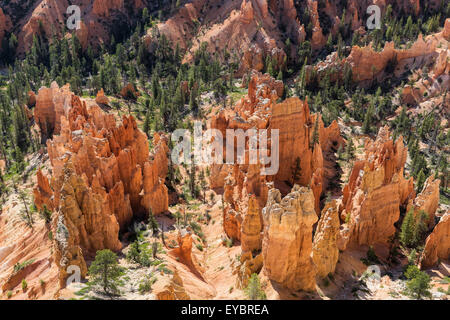 Parco Nazionale di Bryce Canyon, Utah Foto Stock