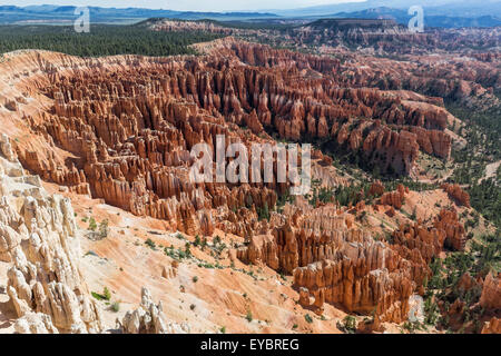 Parco Nazionale di Bryce Canyon, Utah Foto Stock