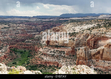 Grand Staircase-Escalante monumento nazionale, Utah Foto Stock