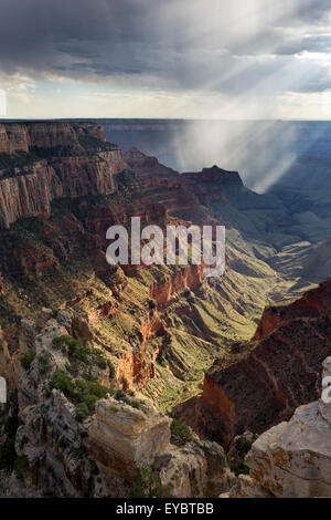 Parco Nazionale del Grand Canyon, North Rim, Arizona Foto Stock