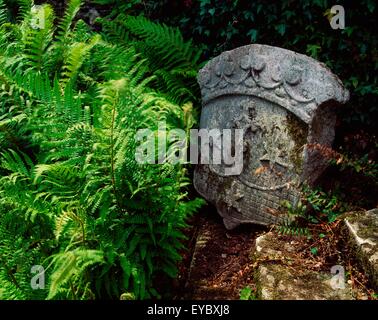 Foresta di Berkeley, Co Wexford, Irlanda; pietra scolpita in un Fernery durante l'estate Foto Stock