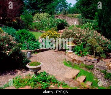 Foresta di Berkeley, Co Wexford, Irlanda; Potentilla e Bonsai durante l'estate Foto Stock