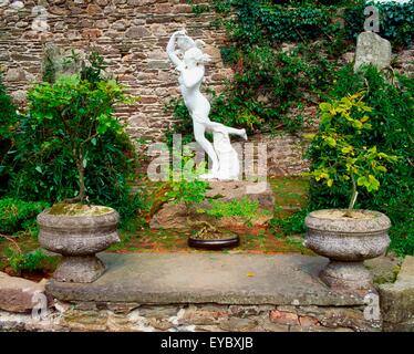 Foresta di Berkeley, Co Wexford, Irlanda; scultura e Bonsai durante l'estate Foto Stock