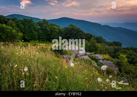 Il tramonto del Blue Ridge Mountains, visto dalla Skyline Drive nel Parco Nazionale di Shenandoah, Virginia. Foto Stock
