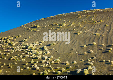 Parco Nazionale di Timanfaya. Lanzarote, Las Palmas provincia, Isole Canarie, Spagna, Europa. Foto Stock