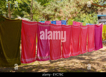 Asciugamani colorati appeso a una fune nel bosco Foto Stock