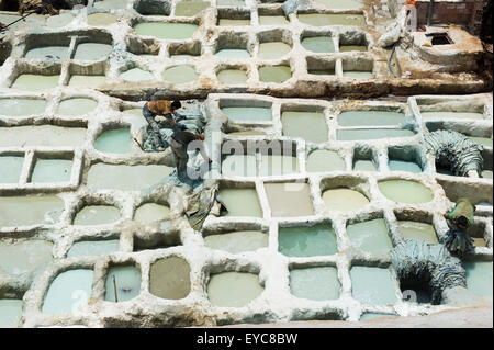 Dyeworks, i conciatori' e tintori' Chouwara quartiere nel centro storico di Fez el Bali, Fes, Marocco Foto Stock