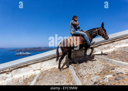 Uomo in sella a un asino uomo che chiama al telefono il sentiero dell'asino di Santorini, Thira Santorini, Grecia Cicladi, Isole greche Europa Foto Stock
