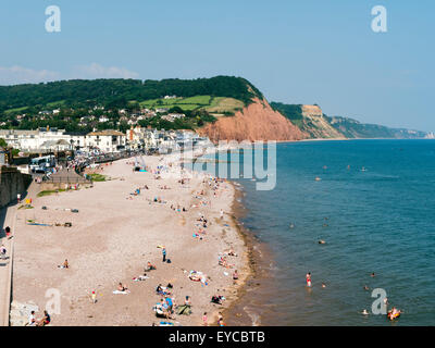 Sidmouth Beach e il mare con una parte della città, campi e scogliere in background Foto Stock