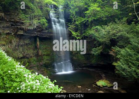 Cascata di Glencar, Co Sligo Irlanda; W.B. Yeats fatto di questa famosa cascata nel suo poema Il bambino rubato Foto Stock