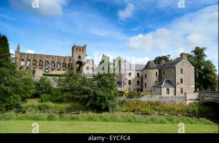 Jedburgh Abbey uno dei quattro grandi abbazie costruite in Scozia il paese di frontiera durante il Medioevo. Foto Stock