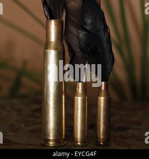 Piume in bullet Foto Stock
