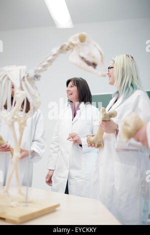 La scienza gli studenti guardando lo scheletro di animale in aula scolastica Foto Stock