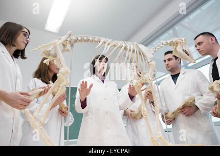 La scienza gli studenti guardando lo scheletro di animale in aula scolastica Foto Stock