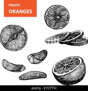 Arance - set di illustrazione vettoriale Illustrazione Vettoriale