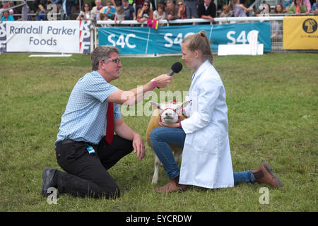 Royal Welsh Show Powys Galles giovani handler tenendo un agnello di essere intervistato dai media locali in arena del display Foto Stock