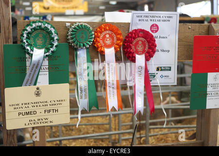 Royal Welsh Show vincitore del premio Rosette in capannone animale Wales UK Foto Stock