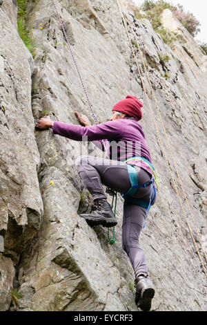 Female Rock scalatore con corda di sicurezza a scalare una crepa in una ripida rockface. Il Galles del Nord, Regno Unito, Gran Bretagna Foto Stock