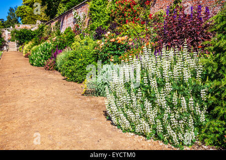 Confine erbacee in il giardino murato di Bowood House nel Wiltshire. Foto Stock