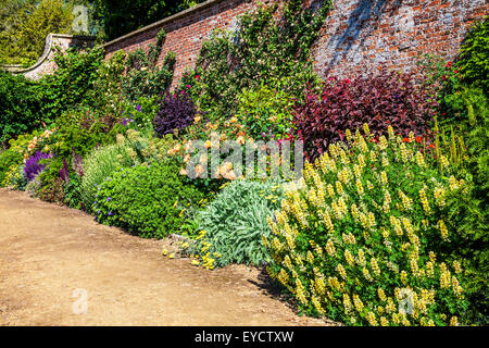 Confine erbacee in il giardino murato di Bowood House nel Wiltshire. Foto Stock