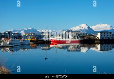 Vista delle barche da pesca e montagne coperte di neve, Hofn Harbour, Islanda Foto Stock