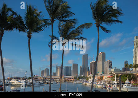 Alte palme Bayside Marketplace MARINA skyline del centro di Miami, Florida, Stati Uniti d'America Foto Stock