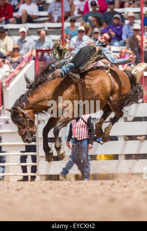 Cheyenne, Wyoming negli Stati Uniti. 26 Luglio, 2015. Bareback rider Caleb Bennett pende sul suo bronco durante il Bareback campionati a Cheyenne Frontier Days rodeo nel Parco di frontiera Arena Luglio 26, 2015 in Cheyenne Wyoming. Giorni di frontiera celebra le tradizioni del cowboy del west con un rodeo, parata e fiera. Foto Stock