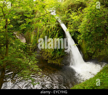 Ceunant Mawr, un 20 metri ( 60ft.) alta cascata a Llanberis, Snowdonia. Foto Stock