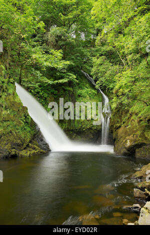 Ceunant Mawr, un 20 metri ( 60ft.) alta cascata a Llanberis, Snowdonia. Foto Stock