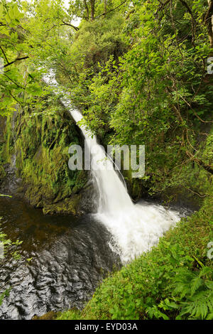 Ceunant Mawr, un 20 metri ( 60ft.) alta cascata a Llanberis, Snowdonia. Foto Stock