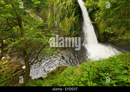 Ceunant Mawr, un 20 metri ( 60ft.) alta cascata a Llanberis, Snowdonia. Foto Stock