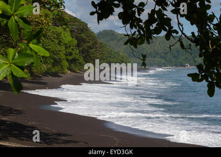 Foresta tropicale e spiaggia con sabbia vulcanica nera, nella Riserva Naturale di Tangkoko, Sulawesi Settentrionale, Indonesia. Foto Stock
