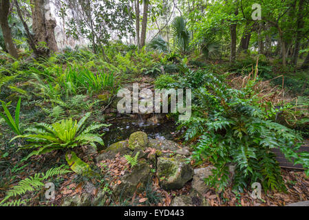 Kanapaha Spring Garden Festival a Gainesville Florida. Foto Stock