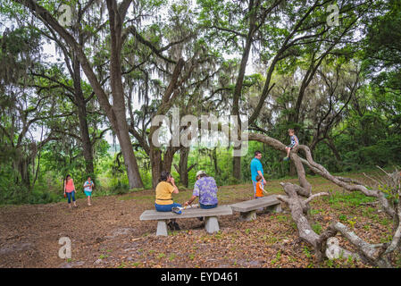 Molla annuale Festival Giardino a Kanapaha Botanical Gardens a Gainesville, Florida. Foto Stock