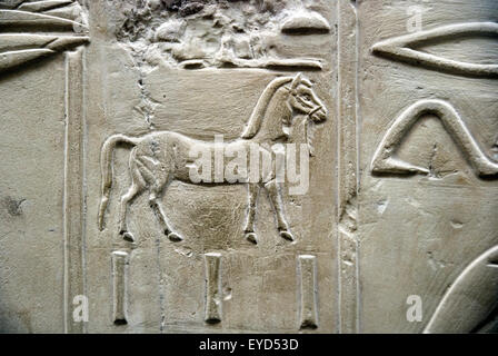 A Luxor Egitto: rilievo di un cavallo dalla tomba di Ramose (TT55) XVIII° dyn., da Nobili tombe. Foto Stock