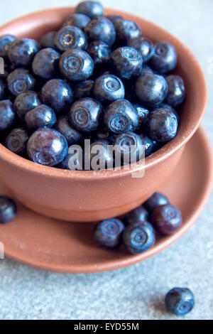 I mirtilli in ciotola close up, foto di colorazione Foto Stock